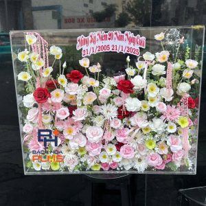 Hộp mica hoa siêu to